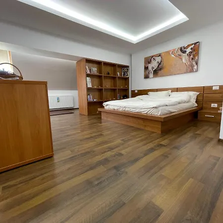 Apartament Matei 21 *
